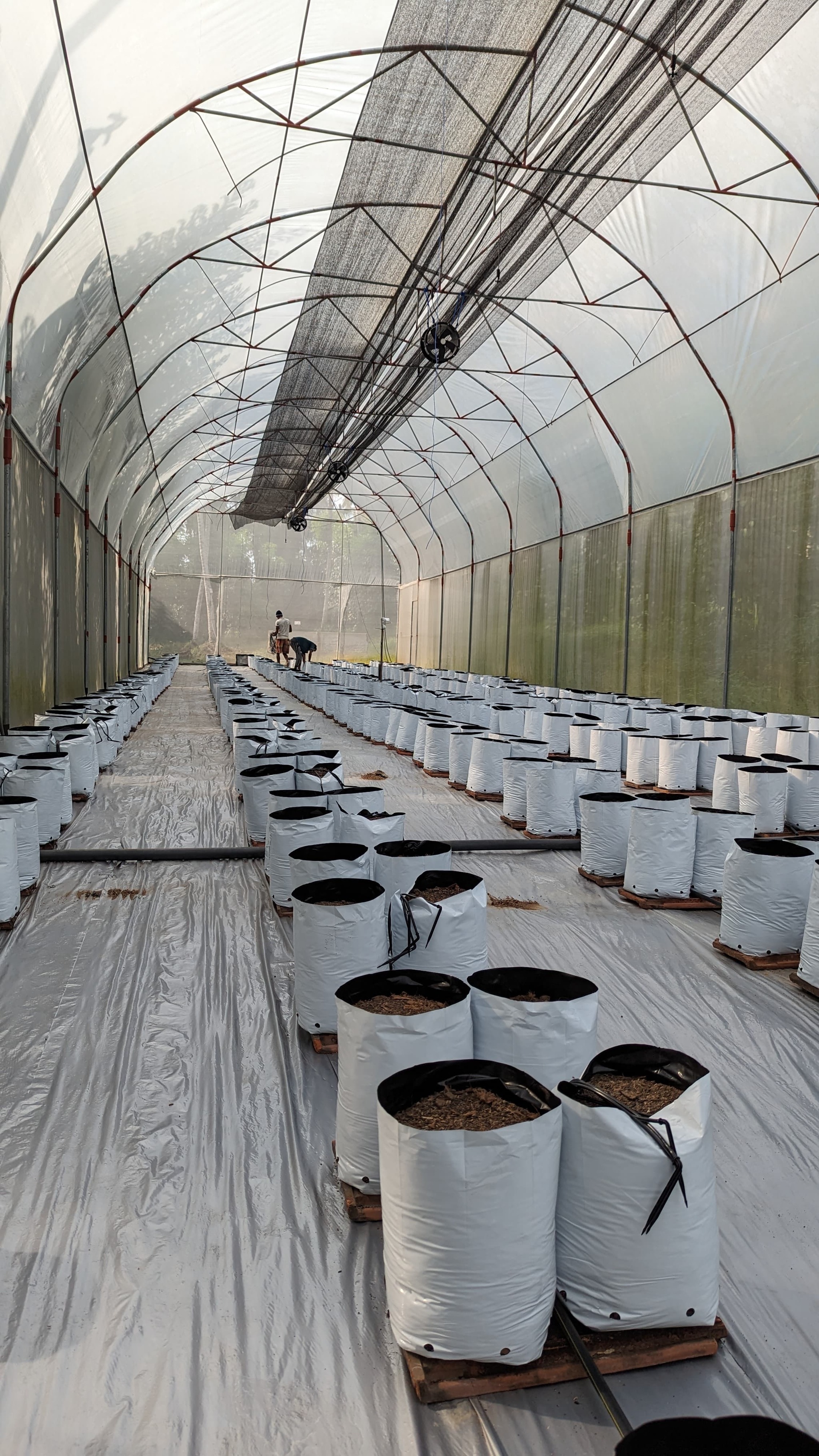 Polytunnels - potterfarm.lk